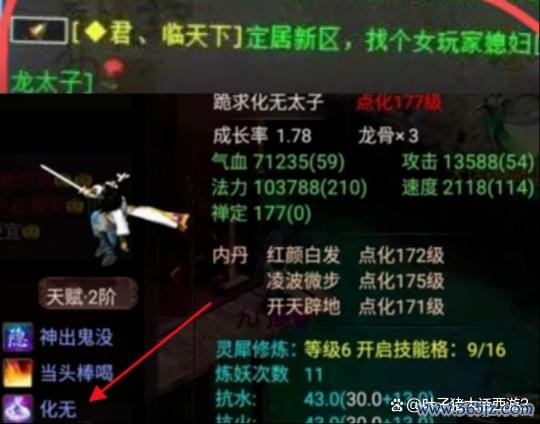 J9体育网这只神宠应该能值不少钱吧-j9九游(china)公司官网 真人游戏第一品牌